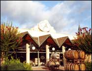 Texas Winery